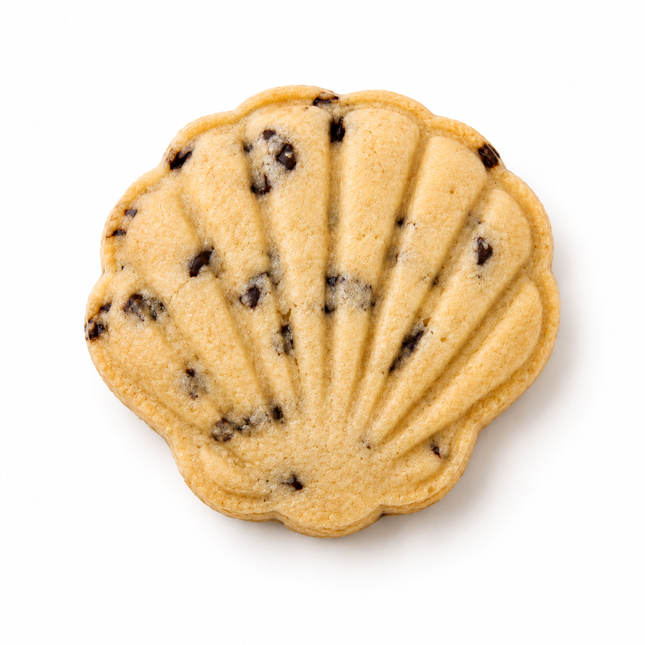 Chocolate Chip scallop-shell shaped shortbread